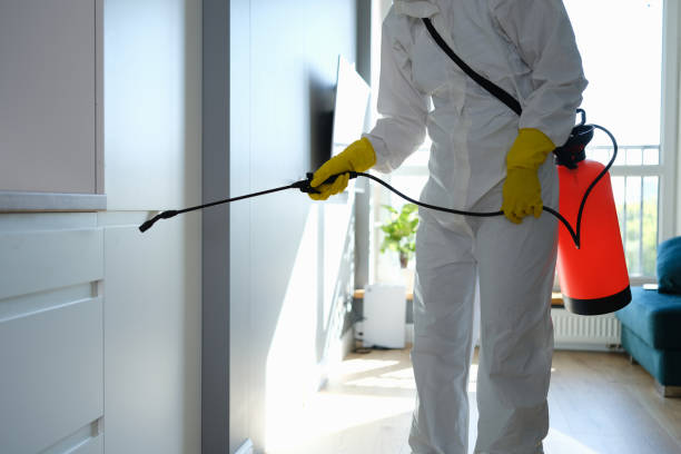 Best Office Mold Removal Services  in Rocky Mount, NC